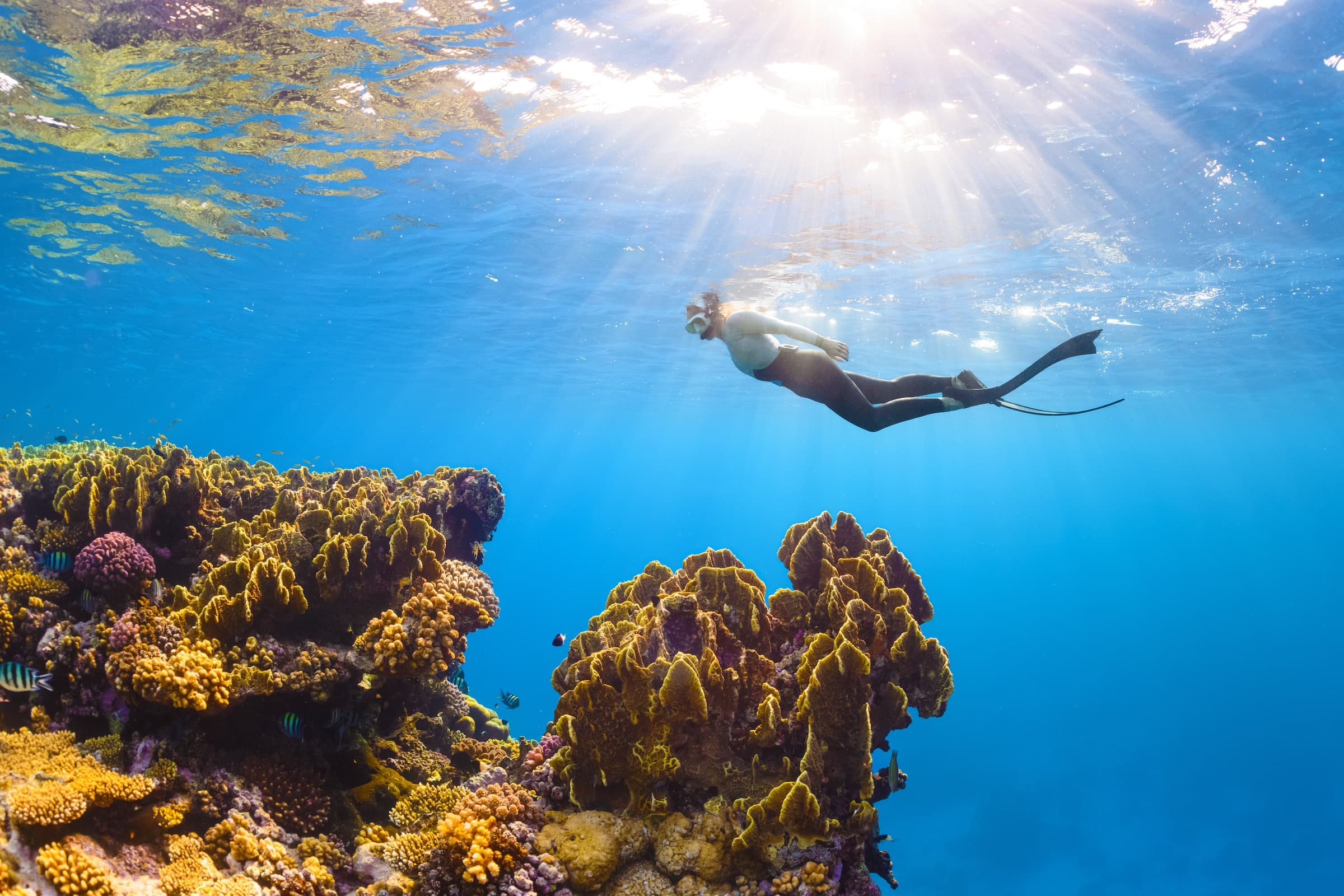A Person swimming near Hikkaduwa Coral Reef. Tropical House Jungleside Villa